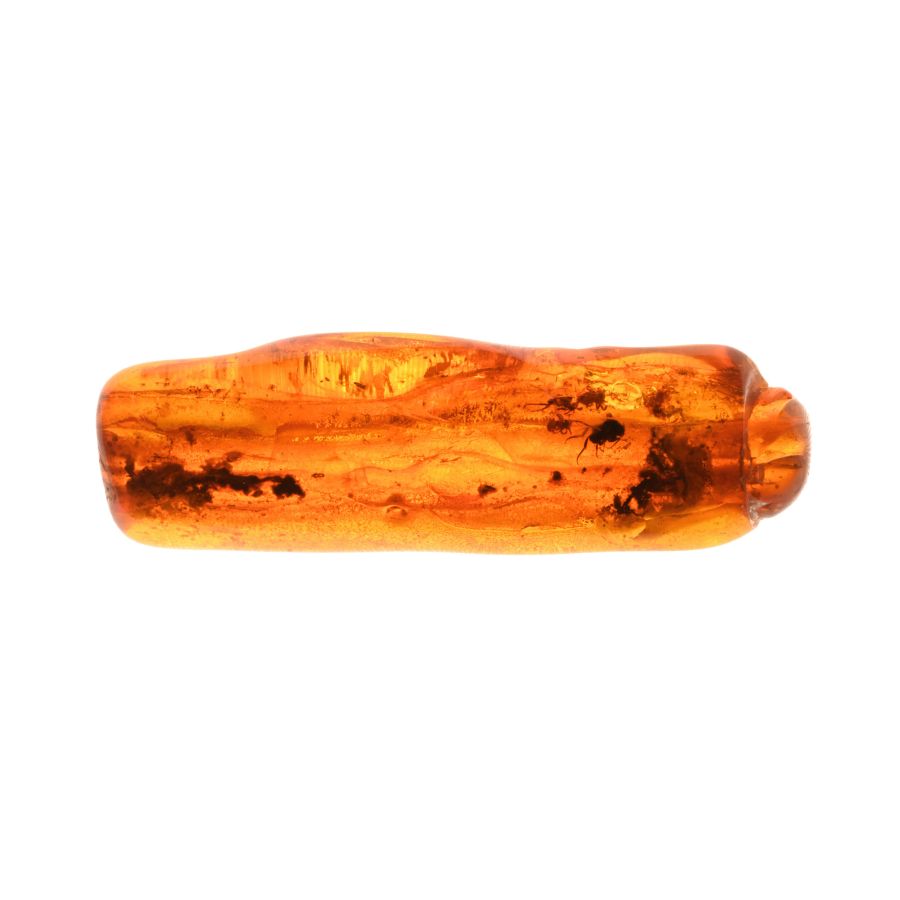 Natural History - Polished Amber with Spider Mite Inclusion