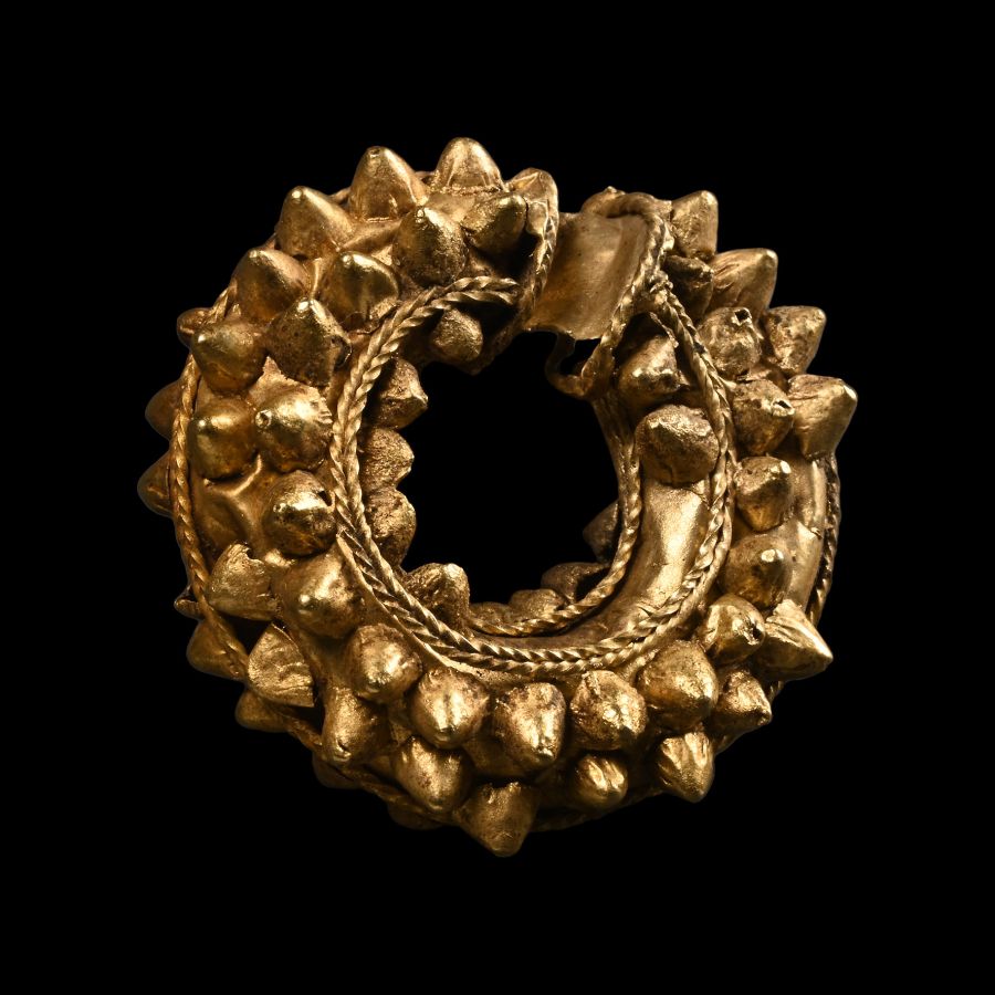 Western Asiatic Gold Leech Earring