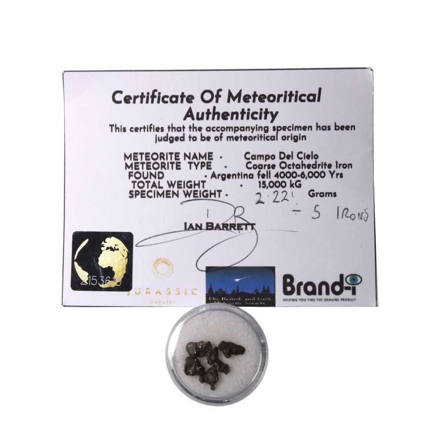 Natural History - Campo Del Cielo Iron Meteorite Collection