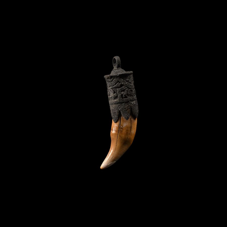 Medieval Bronze Pendant with Fang