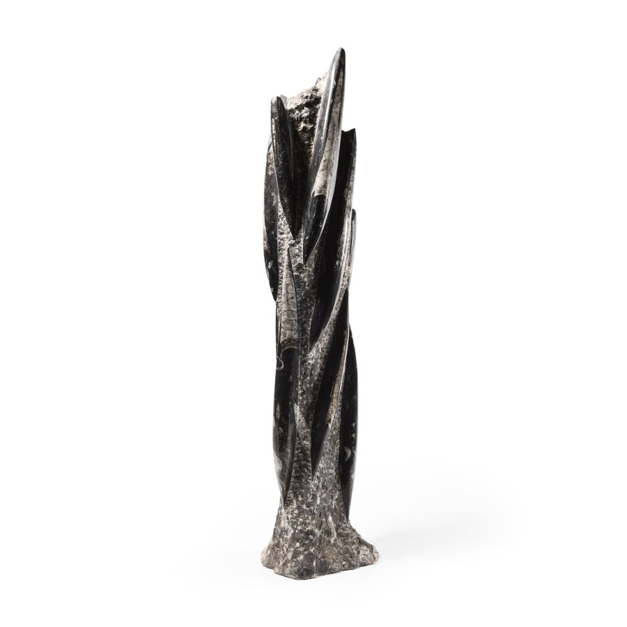 Natural History - Polished Orthoceras Tower Display