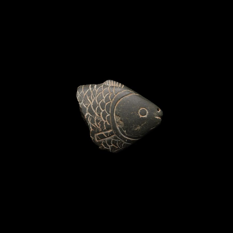 Egyptian Greywacke Cosmetic Fish Spoon Section