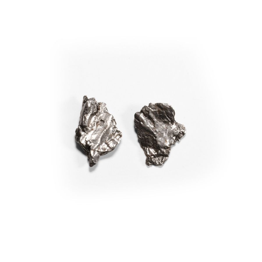 Natural History - Campo del Cielo Meteorite Group