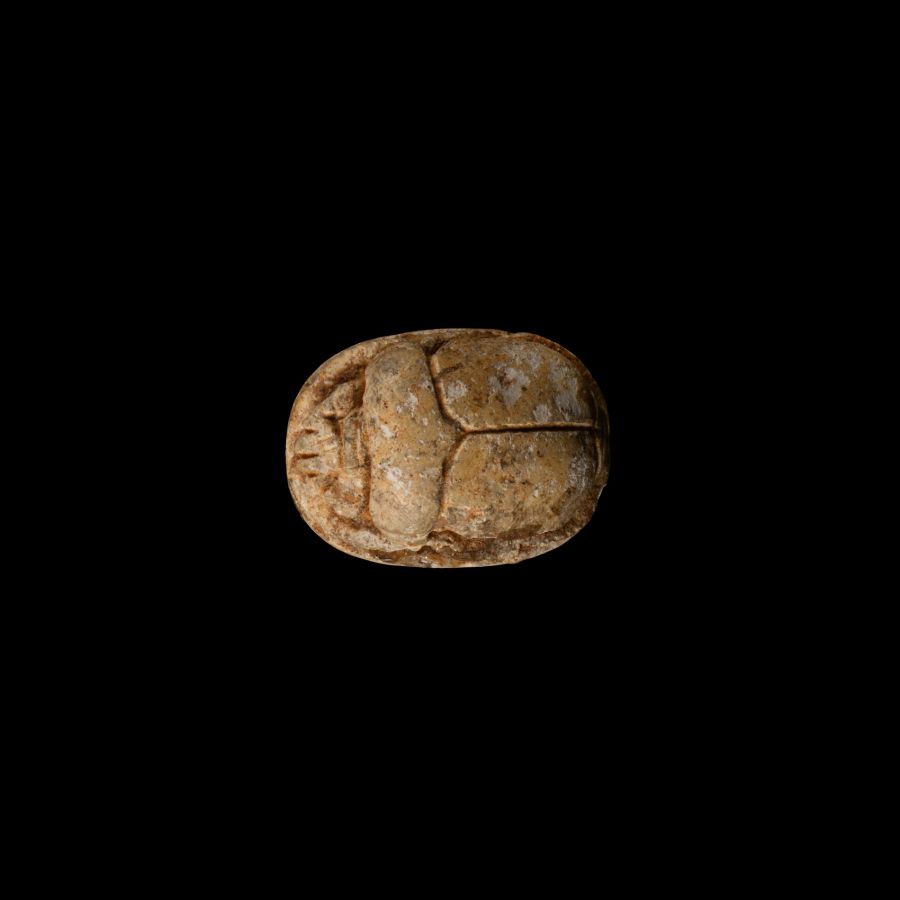 Egyptian Steatite Scarab