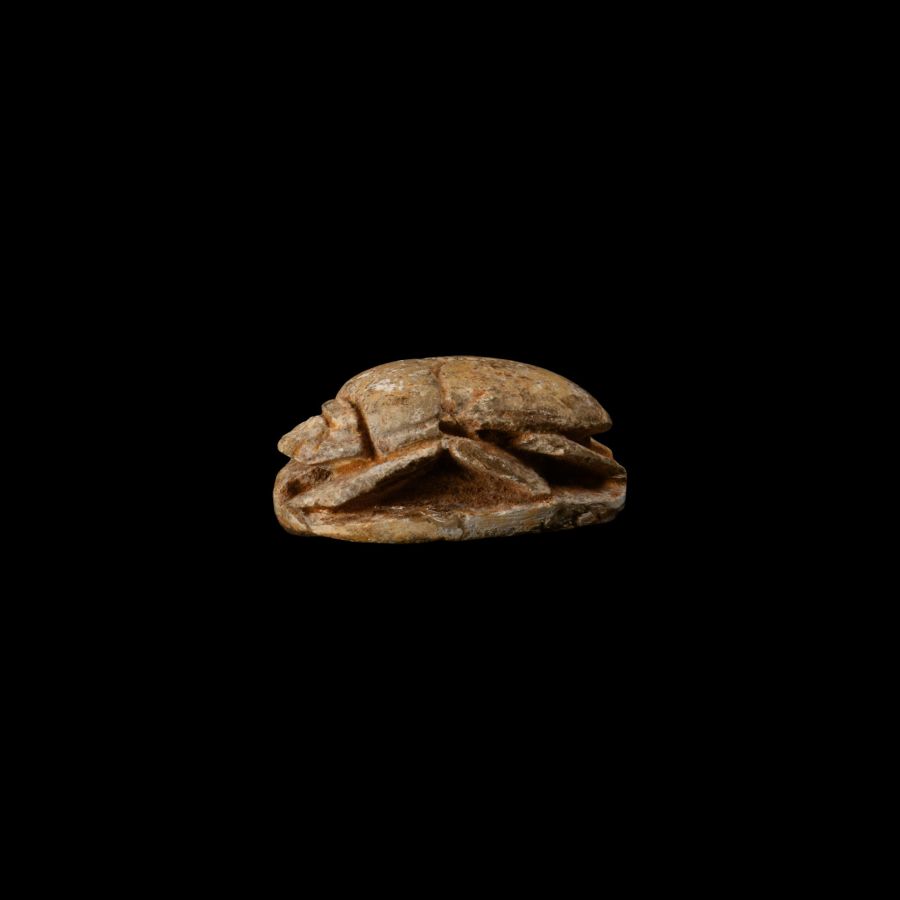 Egyptian Steatite Scarab