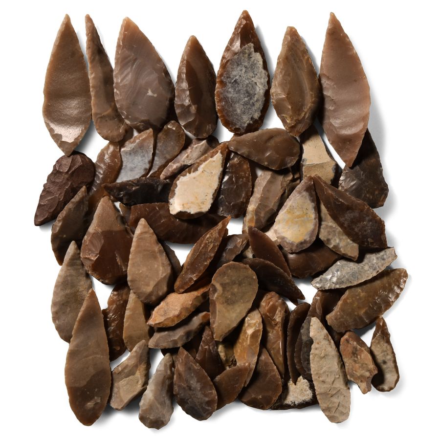Stone Age Flint Leaf-Shaped Arrowhead Collection