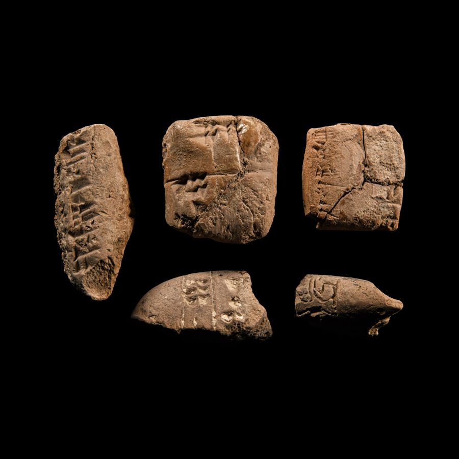Mesopotamian Cuneiform Tablet Fragment Collection