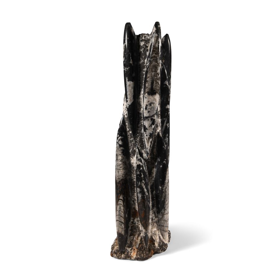Natural History - Large Polished Fossil Orthoceras Tower