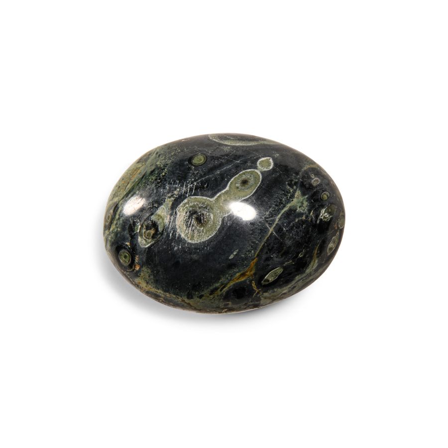 Natural History - Polished Kambaba Orbicular Bacteria Jasper Palm Stone