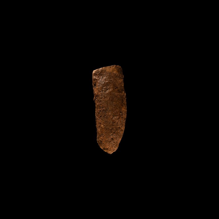 Natural History - Fossil Amphibian Coprolite