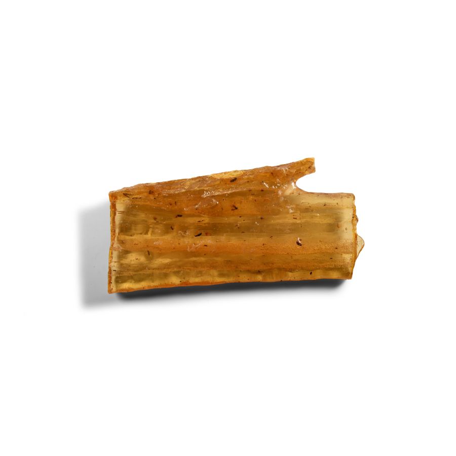 Natural History - Polished Copal with Insects
