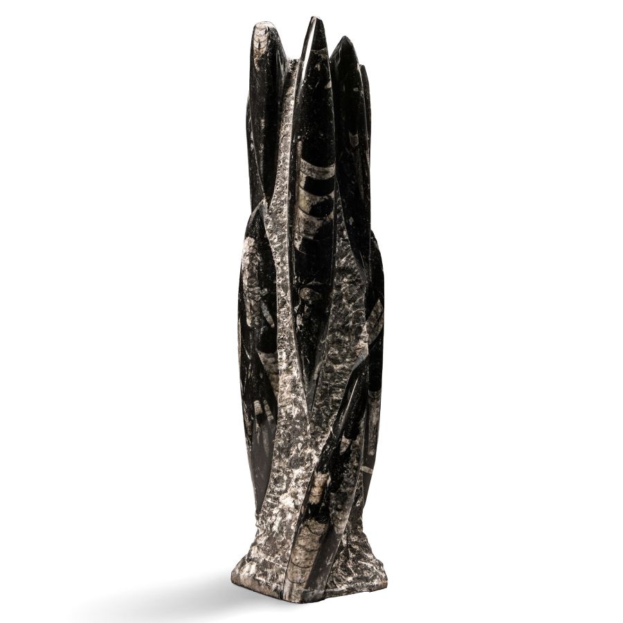 Natural History - Large Orthoceras Fossil Tower