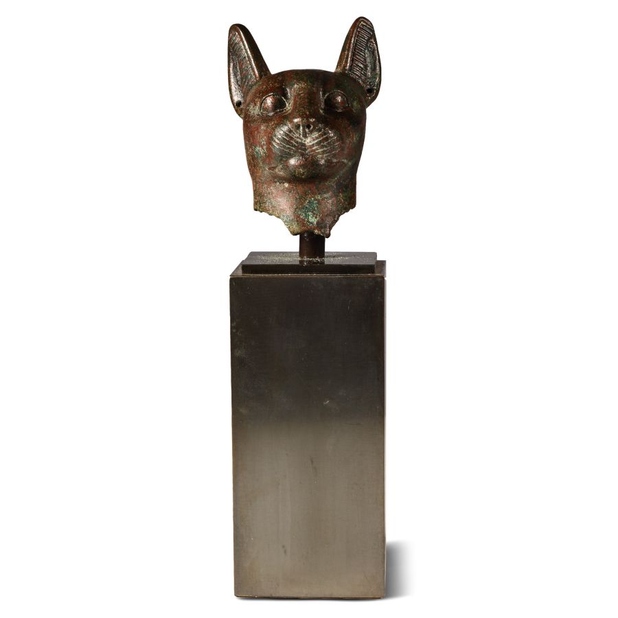 Large Egyptian Bronze Head of a Cat