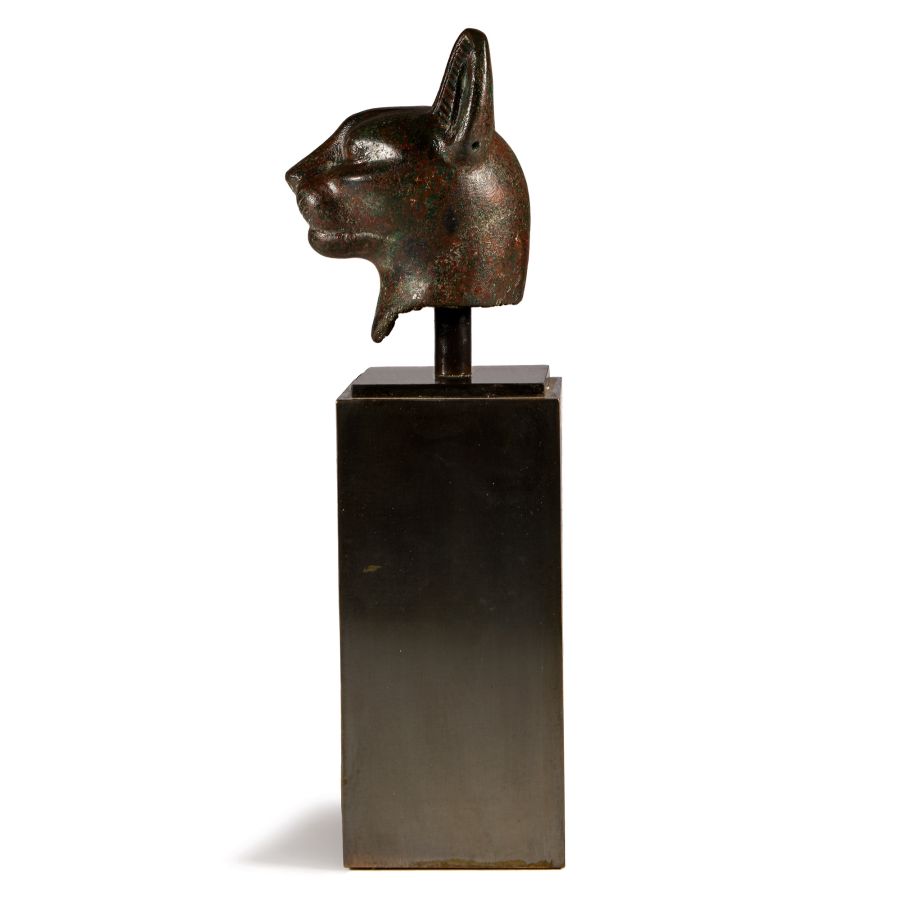 Large Egyptian Bronze Head of a Cat