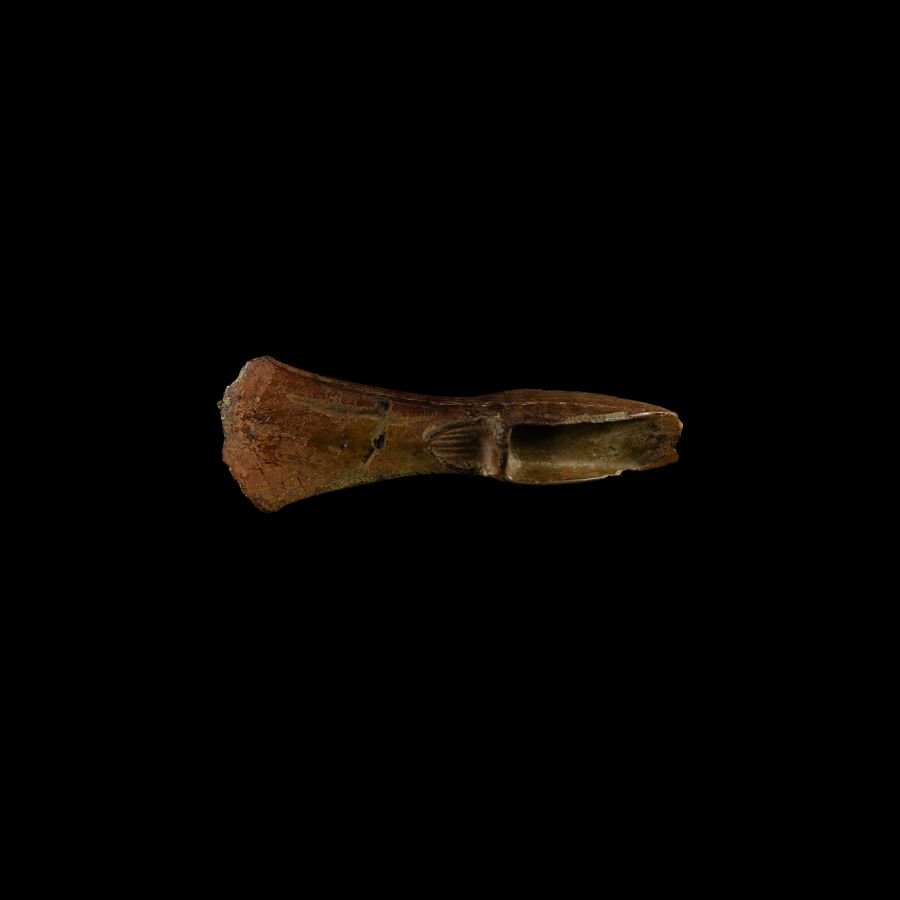 Bronze Age Shield Type Palstave Axehead