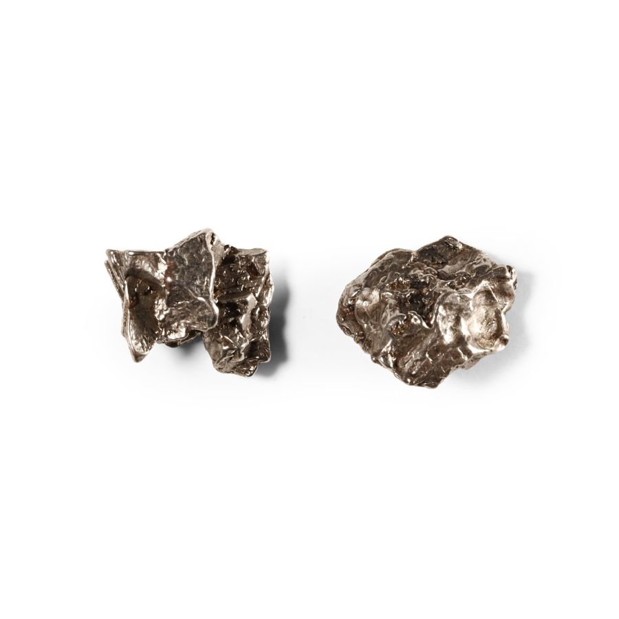 Natural History - Campo Del Cielo Iron Meteorite Pair