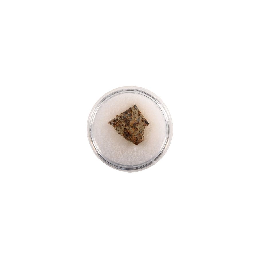 Natural History - NWA 2947 Chondrite Meteorite Slice in Gem Case