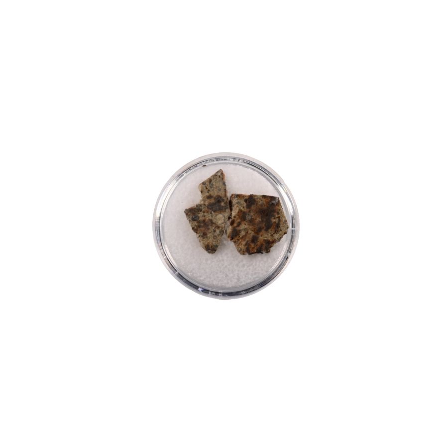 Natural History - NWA 2947 Chondrite Meteorite Slices in Gem Case