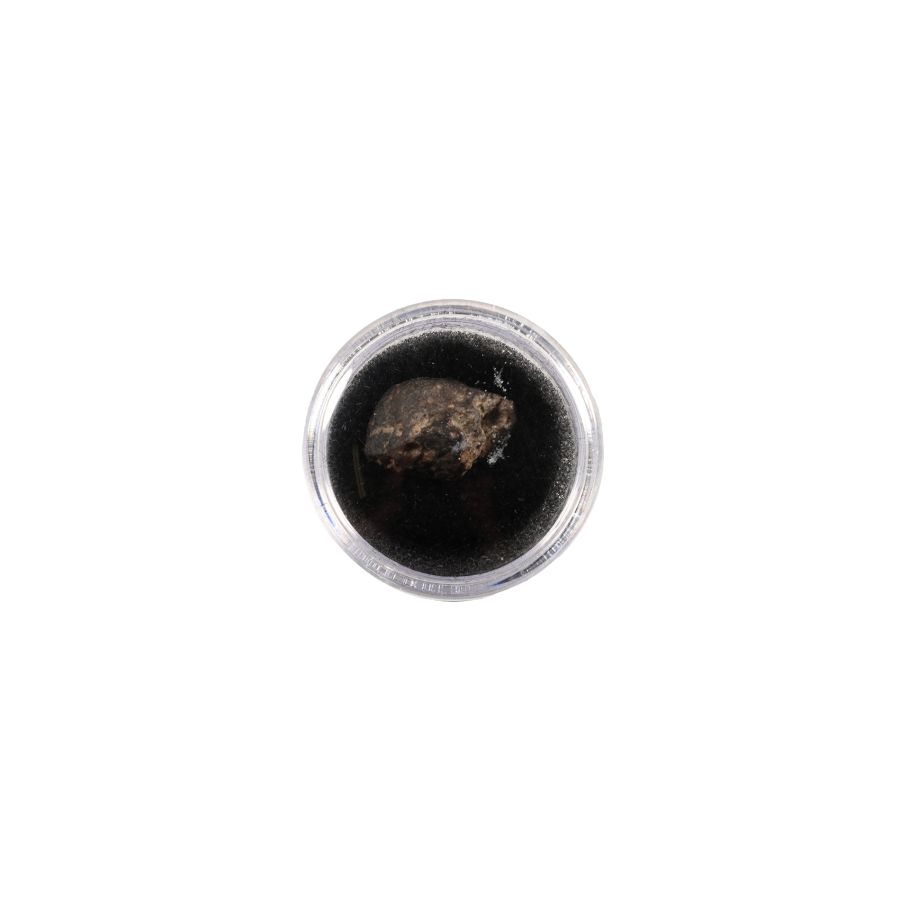 Natural History - NWA 869 L6 Chondrite Meteorite in Gem Case