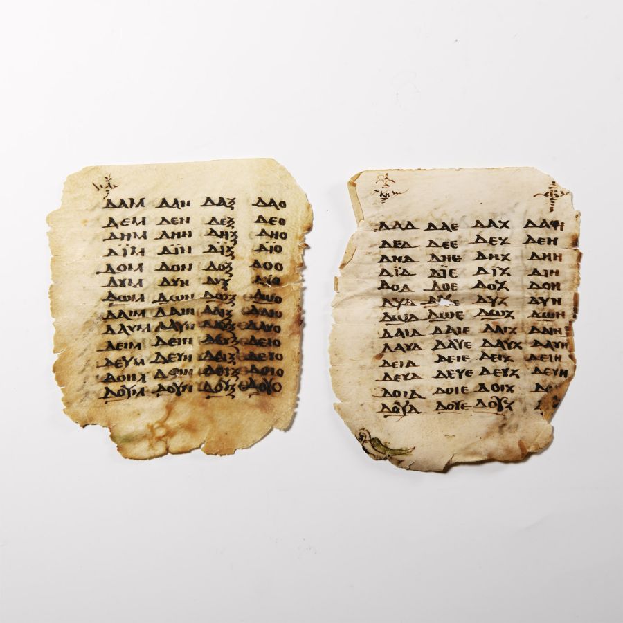 Vellum Manuscript Page Group