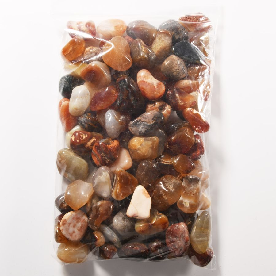Natural History - Polished Agate Pebble Group [100]