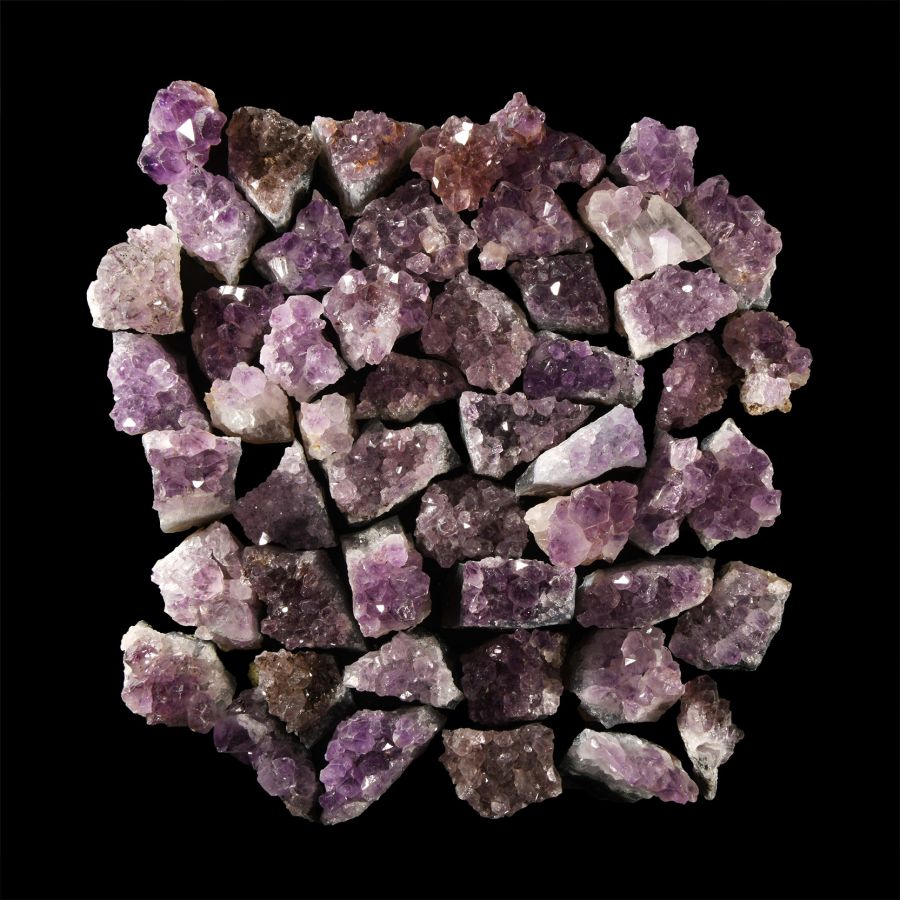 Natural History - Amethyst Crystal Geode Section Group [20]