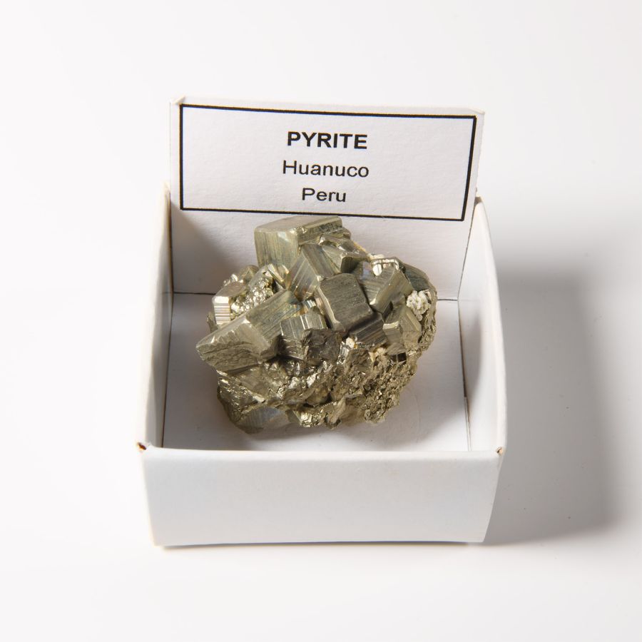 Natural History - Boxed Pyrite 'Fool's Gold' Crystal Specimen