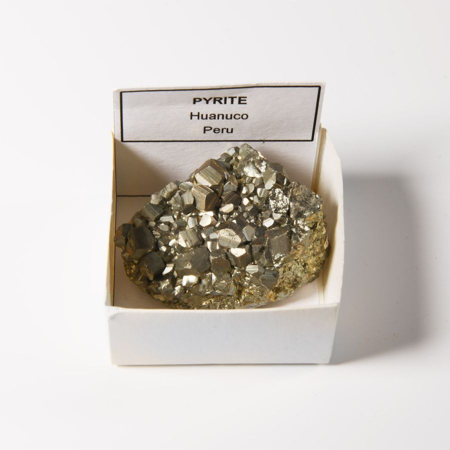 Natural History - Boxed Pyrite 'Fool's Gold' Crystal Specimen