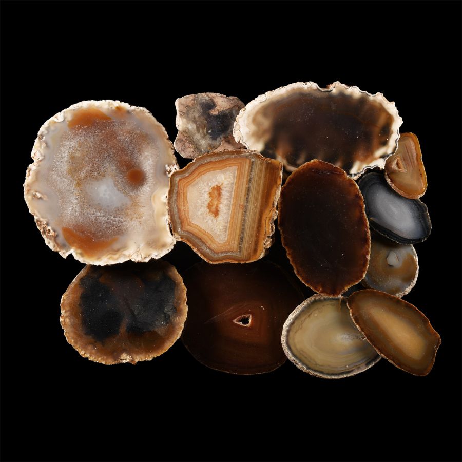 Natural History - Cut and Polished Agate Crystal Geode Half and Slice Group [10]
