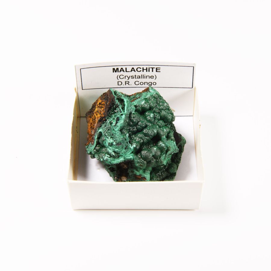 Natural History - Boxed Crystalline Malachite Specimen