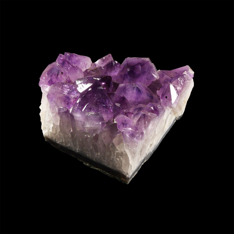 Natural History - Amethyst Crystal Geode Section