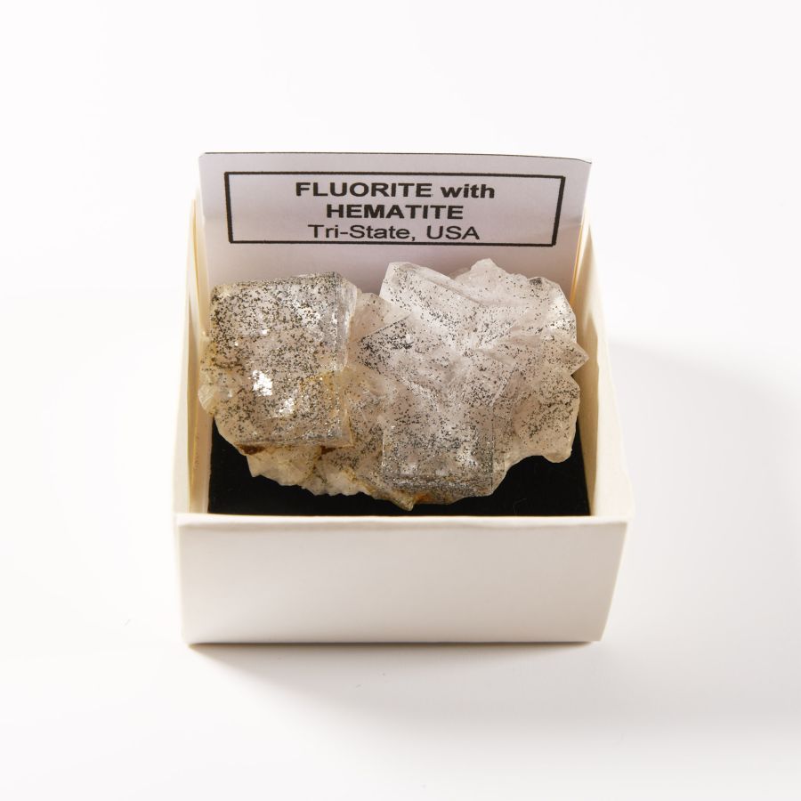 Natural History - Boxed Fluorite with Hematite Mineral Specimen