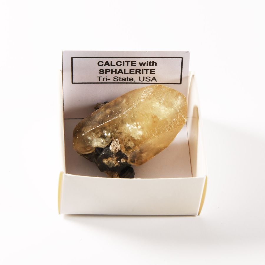 Natural History - Boxed Calcite with Sphalerite Mineral Specimen
