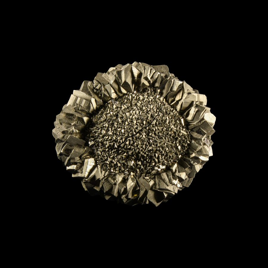 Natural History - Boxed Pyrite Pancake Crystal 'Paper Weight'