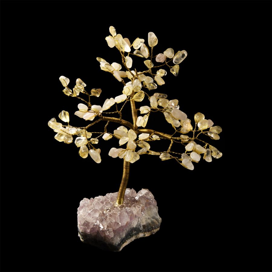 Natural History - Polished Citrine Quartz Crystal Tree on Amethyst Crystal Base