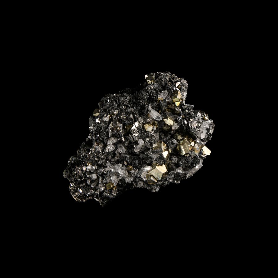 Natural History - Boxed Pyrite & Quartz on Sphalerite