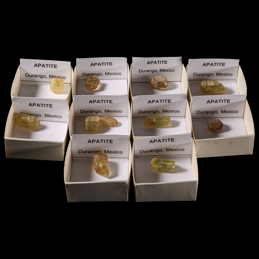 Natural History - Boxed Apatite Crystal Collection [10]