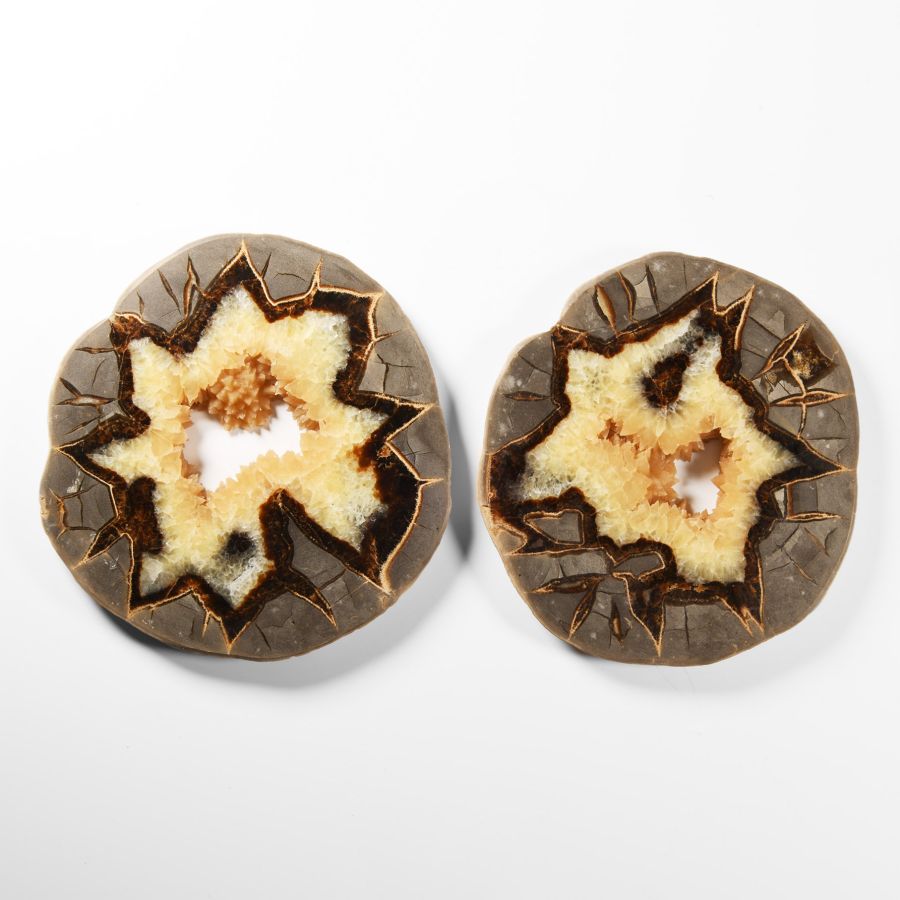 Natural History - Large Size Cut Septarian Agate Crystal 'Alien Egg' Geode Slice Pair
