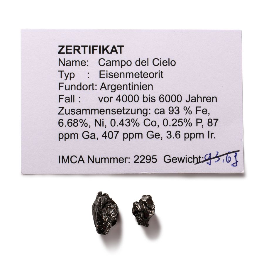 Natural History - Campo Del Cielo Iron Meteorite Pair