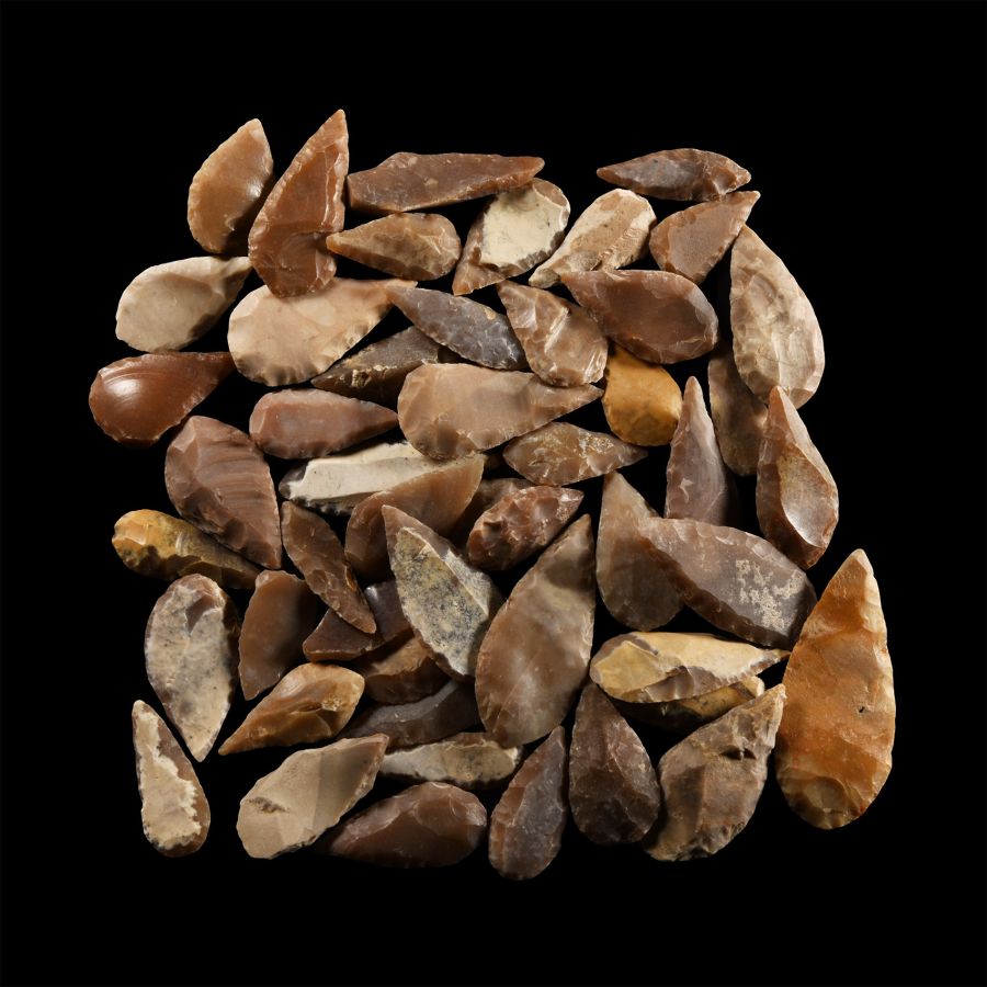 Stone Age Flint Leaf-Shaped Arrowhead Group