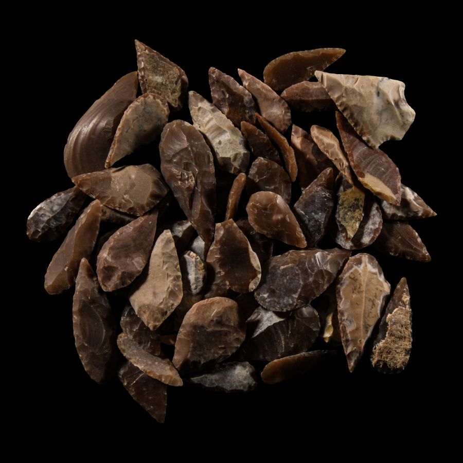 Stone Age Flint Leaf-Shaped Arrowhead Group