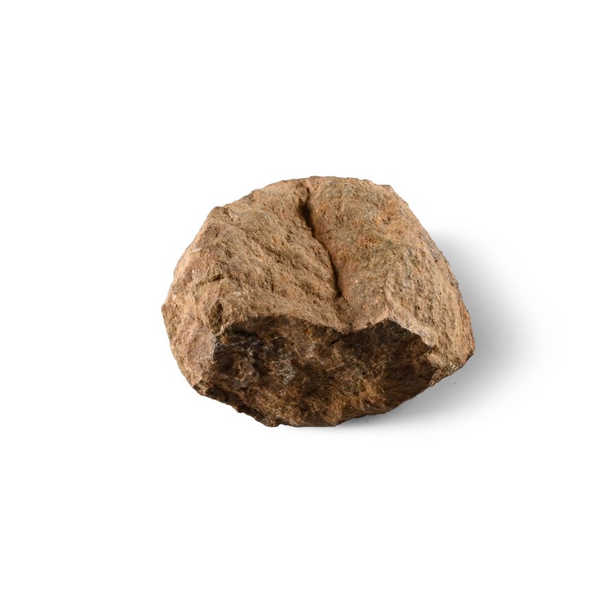 Natural History - Stony Iron Meteorite