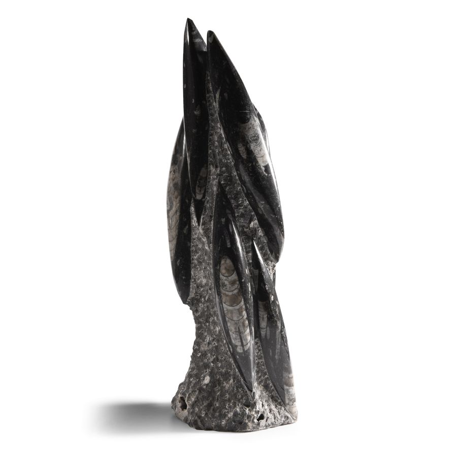Natural History - Fossil Orthoceras Tower