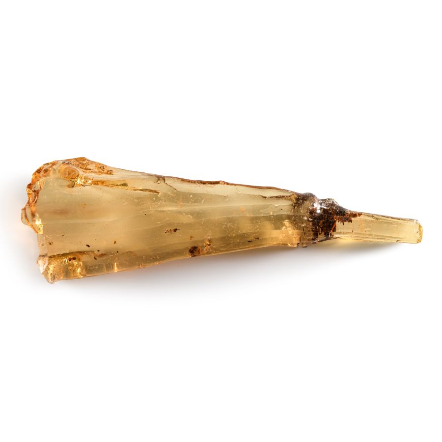 Natural History - Polished Copal with Insects