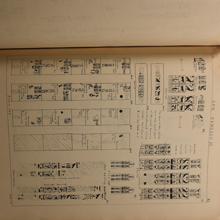 Archaeological Books - Flinders Petrie, W.M. Tanis (Egypt), Part I