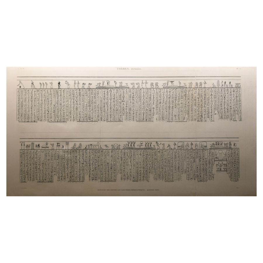 Large Egyptian Expedition Lithograph Print