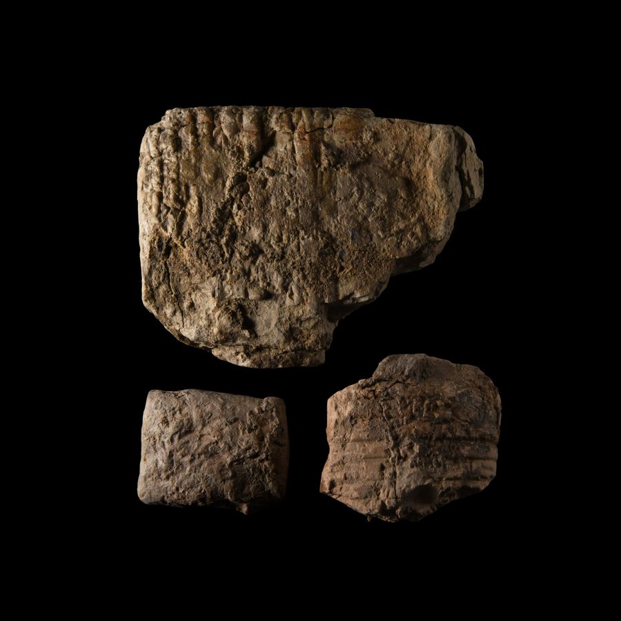 Mesopotamian Cuneiform Tablet Fragment Group