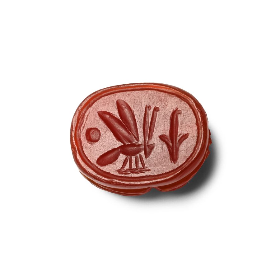 Egyptian Carnelian Scarab with Symbols Representing the Royal Title 'King of Upper and Lower Egypt'