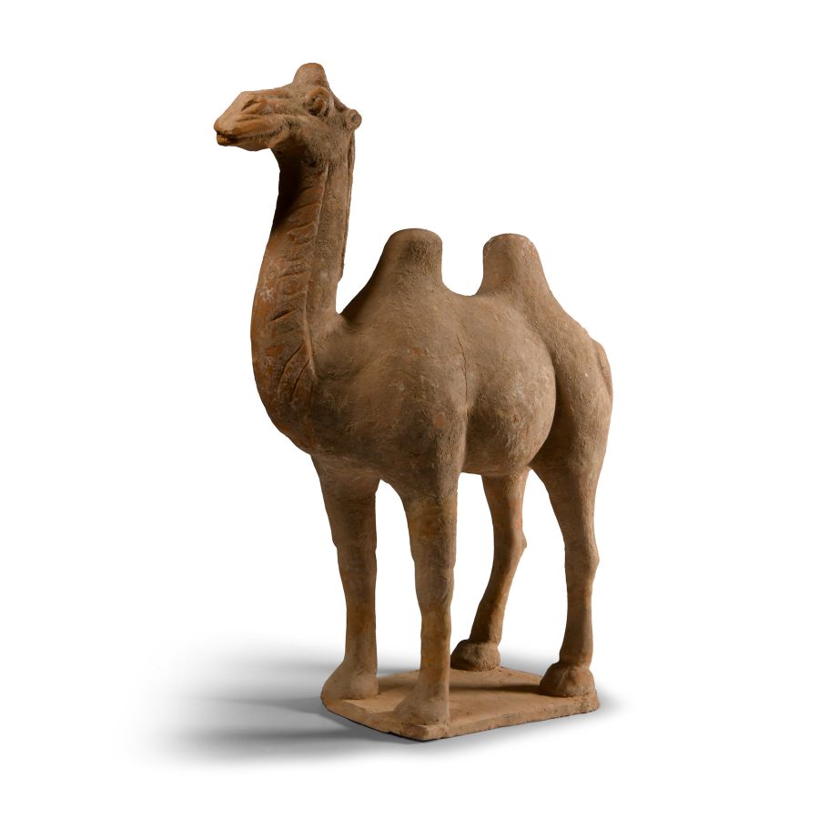 Chinese Tang Terracotta Camel