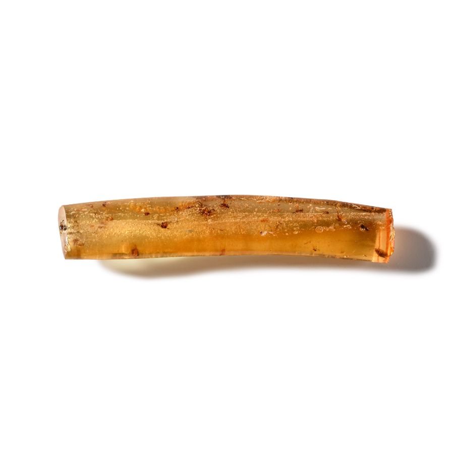 Natural History - Polished Copal with Insects